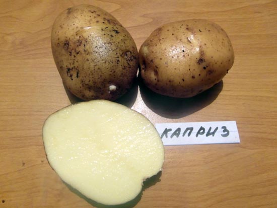 bulvių iš bendrų ligų garsai kaulų ir sąnarių liaudies gynimo