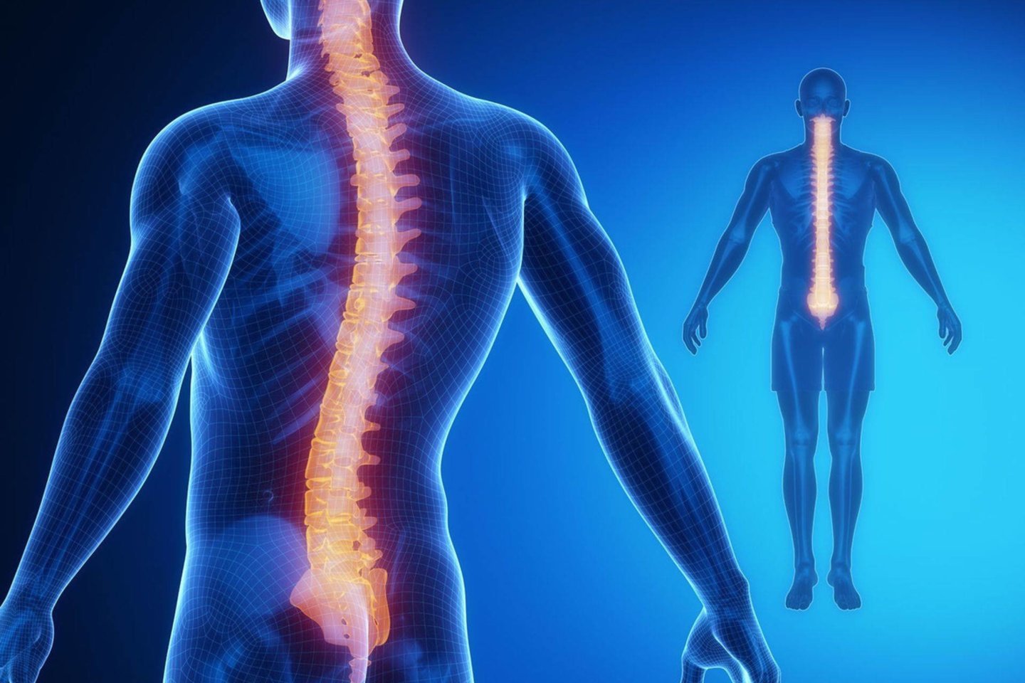 nugaros skausmas ir visi sąnariai gydymas nugaros skausmas į ryšulius ir sąnarių