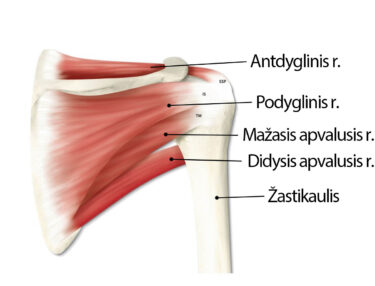 sisteminė artrozė gydymas krūtinės dalies osteochondrozė