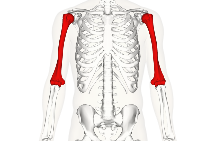 skausmas sąnarių ir kaulų raumenys osteoartrito peties sąnario gydymo