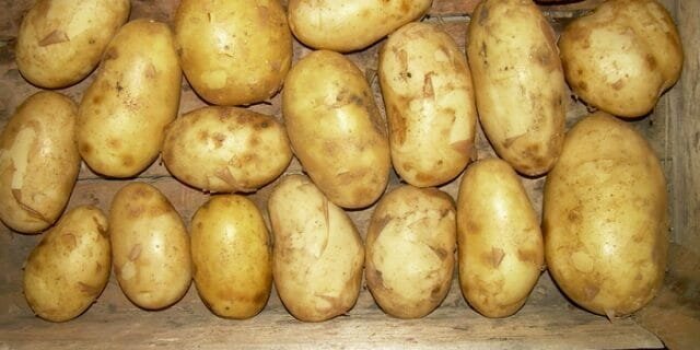 bulvių iš bendrų ligų paraudimas ranka artritas
