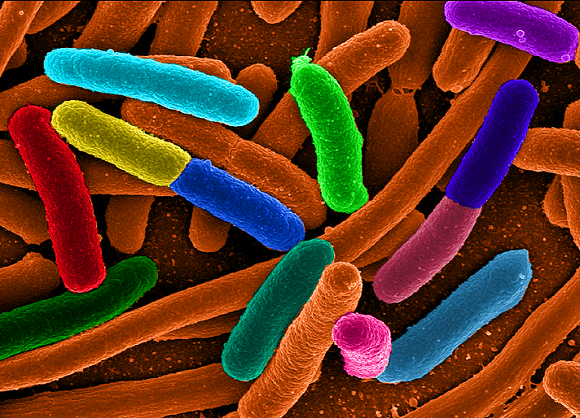 bakterijos sukelia ligas sąnarių gydymas sustav po bursita