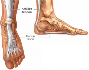 skausmas pėdos priežasčių pėdos